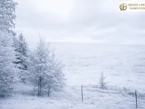 Prodej louky, Dlouhomilov, 7512 m2