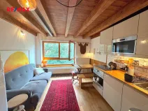 Pronájem bytu 2+kk, Praha - Smíchov, Hořejší nábřeží, 44 m2