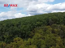 Prodej lesa, Lelekovice, 22668 m2