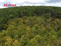 Prodej lesa, Lelekovice, 22668 m2