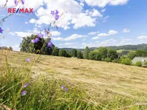 Prodej pozemku pro bydlení, Semily, 1962 m2