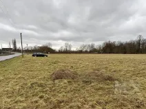 Prodej komerčního pozemku, Česká Skalice, Bezručova, 4078 m2