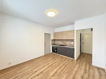 Pronájem bytu 1+1, Liberec - Liberec X-Františkov, Jáchymovská, 39 m2