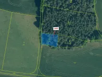 Dražba lesa, Hradiště, 638 m2