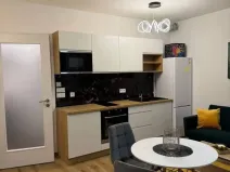 Pronájem bytu 1+kk, Praha - Žižkov, Olgy Havlové, 37 m2