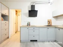 Pronájem bytu 1+kk, Praha - Vinohrady, Perucká, 25 m2