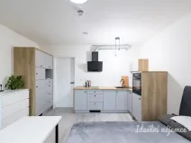 Pronájem bytu 1+kk, Praha - Vinohrady, Perucká, 25 m2