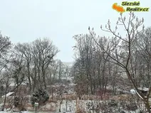 Prodej pozemku pro bydlení, Velké Heraltice, 2076 m2