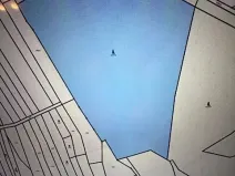 Prodej lesa, Březolupy, 29958 m2