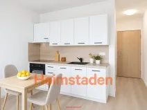 Pronájem bytu 1+1, Frýdek-Místek - Frýdek, El. Krásnohorské, 35 m2