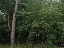 Prodej pozemku pro bydlení, Hradištko, Na Vrcholu, 1486 m2