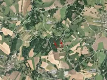 Prodej lesa, Horní Meziříčko, 6626 m2