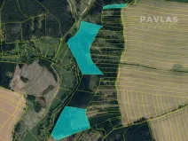 Prodej lesa, Křelovice, 102822 m2