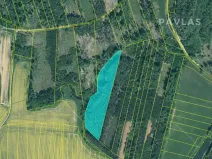 Prodej lesa, Jetětice, 103270 m2