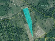 Prodej lesa, Jetětice, 103270 m2