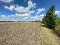 Dražba pole, Nový Bydžov, 1857 m2