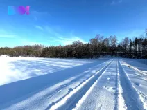 Prodej lesa, Žďár nad Sázavou - Stržanov, 43856 m2