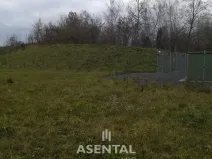 Prodej komerčního pozemku, Orlová - Poruba, 19948 m2