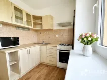 Pronájem bytu 1+1, Praha - Žižkov, U kněžské louky, 70 m2