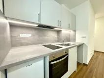 Prodej bytu 1+kk, Lovosice, Sady pionýrů, 22 m2