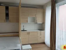 Pronájem bytu 1+kk, Brno - Staré Brno, 27 m2
