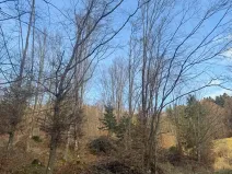 Prodej lesa, Huslenky, 11045 m2