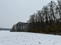 Prodej podílu lesa, Ivančice, 2330 m2