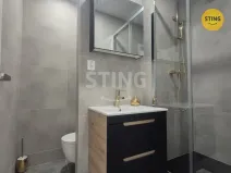 Pronájem bytu 1+1, Ostrava - Výškovice, 40 m2