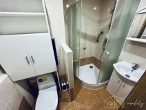 Prodej bytu 1+1, Bílina - Pražské Předměstí, Alšova, 27 m2