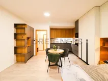 Pronájem bytu 1+kk, Brno, Cyrilská, 42 m2