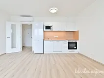 Pronájem bytu 1+kk, Brno - Horní Heršpice, Jižní, 33 m2