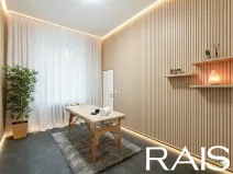 Prodej obchodního prostoru, Brno, Nádražní, 43 m2