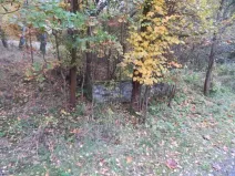 Dražba pole, Jiříkov, 2813 m2