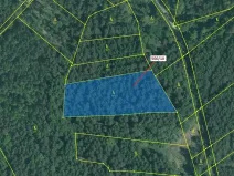 Dražba lesa, Jílovice, 5755 m2