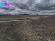 Prodej pole, Vranovice, 35000 m2