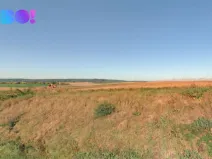 Prodej pole, Jezeřany-Maršovice, 7618 m2