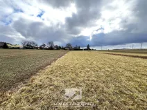 Prodej pole, Solnice, 744 m2