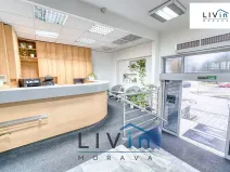 Pronájem kanceláře, Olomouc, Karolíny Světlé, 20 m2