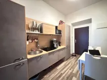 Pronájem bytu 1+1, Praha - Dejvice, Pod kaštany, 33 m2