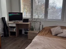 Pronájem bytu 1+kk, České Budějovice - České Budějovice 3, Plzeňská, 21 m2