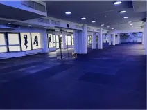 Pronájem obchodního prostoru, Praha - Vinohrady, Chrudimská, 360 m2