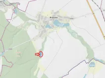 Prodej lesa, Bratčice, 5000 m2