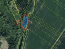 Prodej lesa, Bratčice, 5000 m2