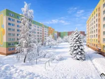 Prodej bytu 2+1, Kopřivnice, Francouzská, 43 m2