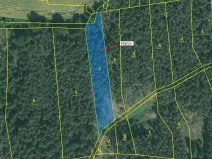 Dražba lesa, Milavče, 2762 m2