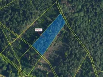 Dražba lesa, Jílové u Držkova, 3439 m2