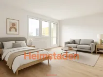 Pronájem bytu 1+1, Karviná - Nové Město, Závodní, 41 m2