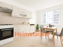 Pronájem bytu 1+1, Karviná - Nové Město, Závodní, 41 m2