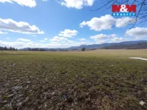 Prodej lesa, Nový Jičín - Straník, 87259 m2