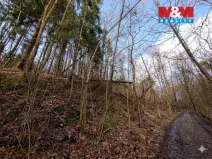 Prodej lesa, Nový Jičín - Straník, 87259 m2